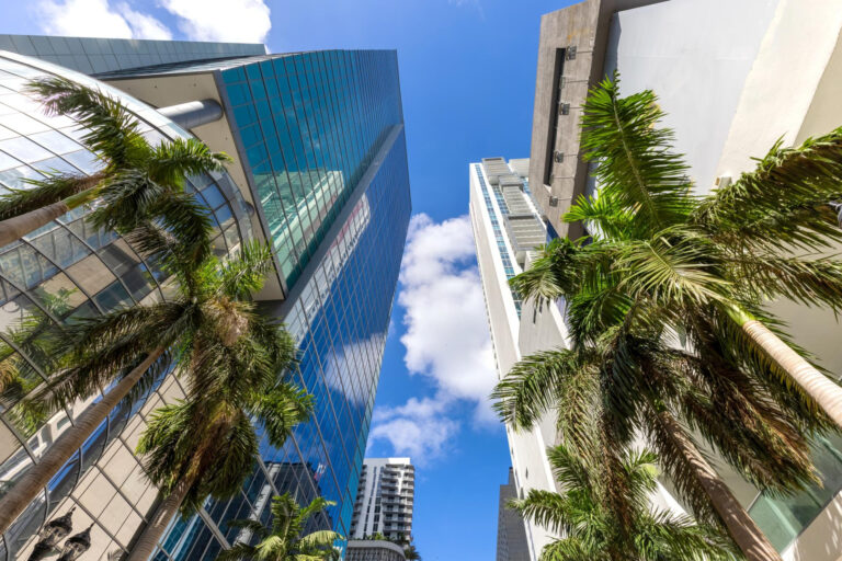 DIBU Token - Der US-Mittelstand. Digital zugänglich.